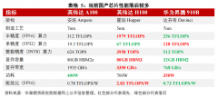 ：725EFLOPS的智算核心、国产AI芯片、尺度